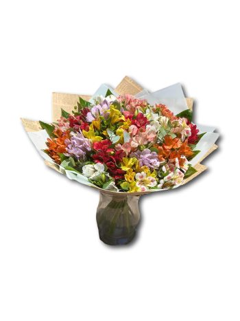 זר אלסטרומריה