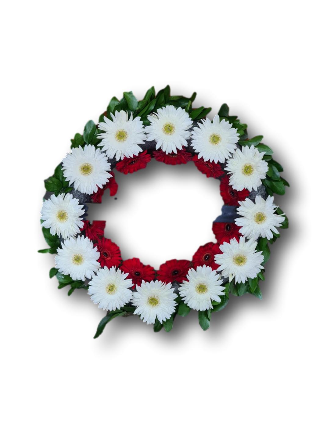 גלגל שתי שורות _clipped_rev_1