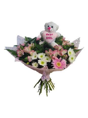 נסיכה נולדה